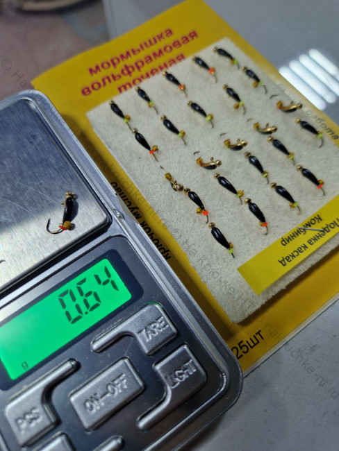 20241126_185728