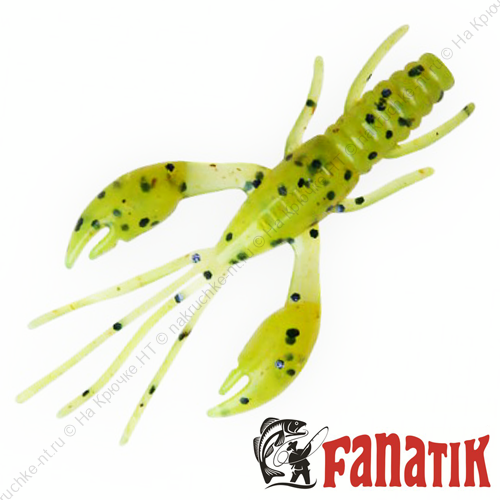 Fanatik Raider 1,6 цвет 022