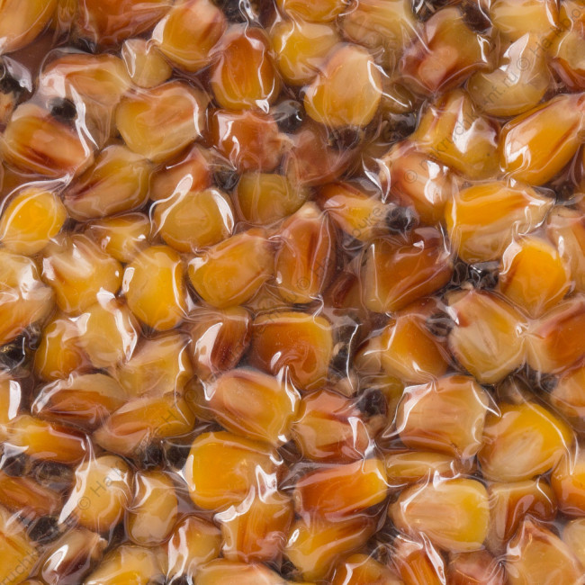 Зерн. смесь 1 кукуруза, конопля, бетаин 1кг 2 Зерн. смесь 1 кукуруза, конопля, бетаин 1кг 2