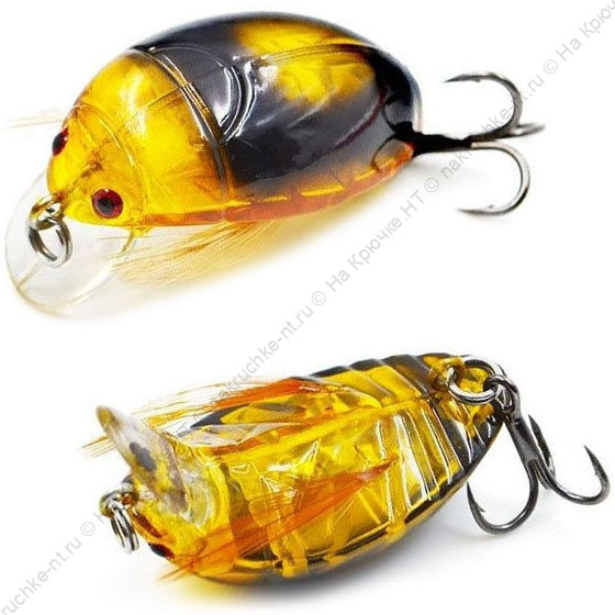 vobler_akara_bug_38f_4g_01_b vobler_akara_bug_38f_4g_01_b