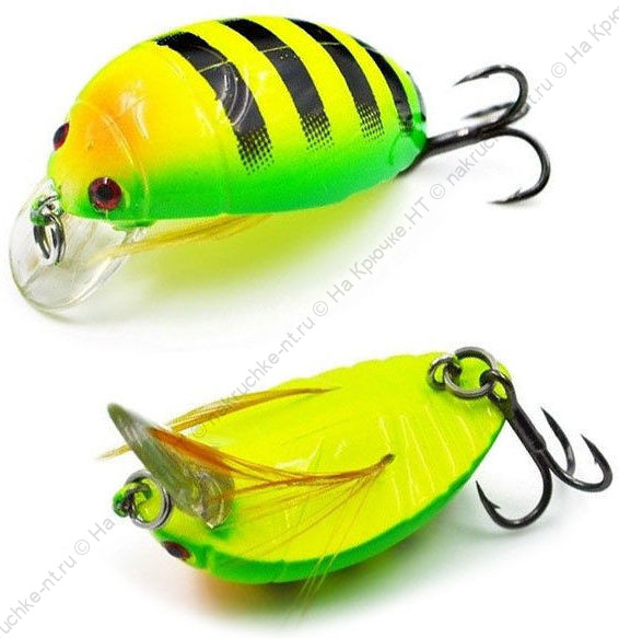 vobler_akara_bug_38f_4g_03_b vobler_akara_bug_38f_4g_03_b