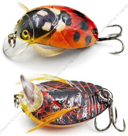 vobler_akara_bug_38f_4g_12_b vobler_akara_bug_38f_4g_12_b