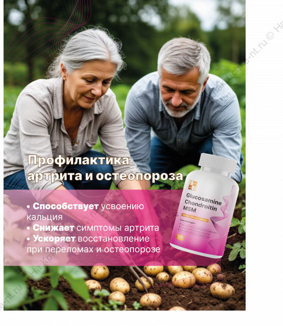 БАД к пище "Глюкозамин Хондроитин МСМ" ("Glucosamine Chondroitin MSM"). БАД к пище "Глюкозамин Хондроитин МСМ" ("Glucosamine Chondroitin MSM").