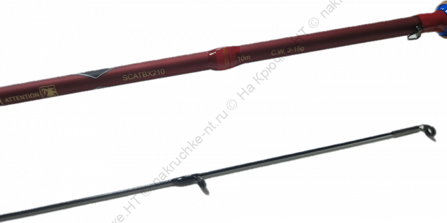 Clipped_image_20240728_102421