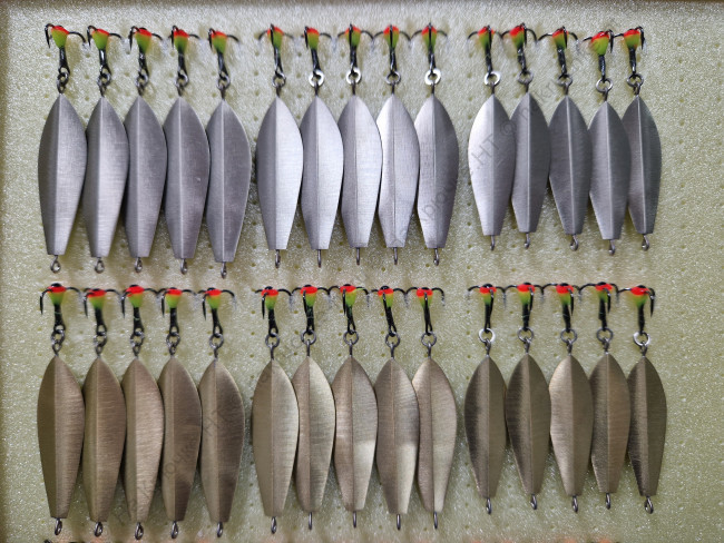 20241221_102919 20241221_102919