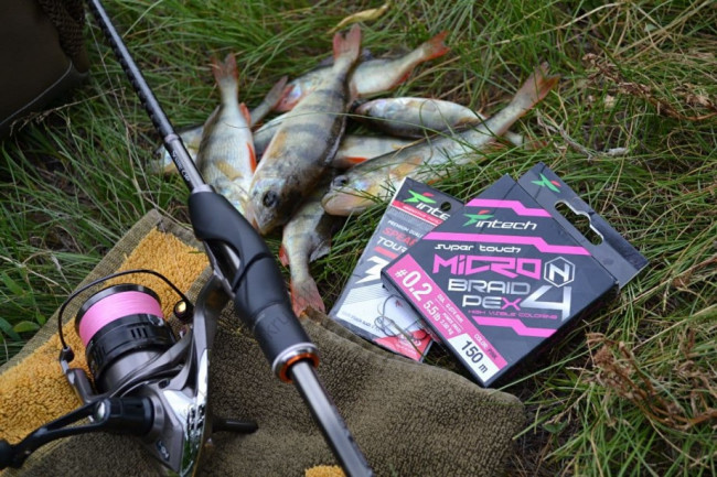 Intech Micron PE X4 100m 4 Intech Micron PE X4 100m 4