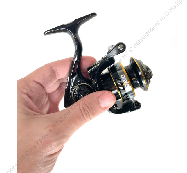 2025-03-19_10-30-03 2025-03-19_10-30-03