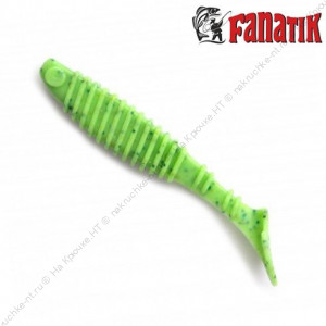 Fanatik Classic 4 цвет 020