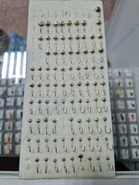 20241126_194748