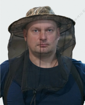 Накомарник (лес)