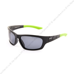 Очки поляриз. Norfin for Feeder Concept линз. серые 03